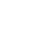 Custom Web Development